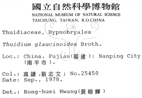 中文名:羽蘚(B00002300)學名:Thuidium glaucinoides Broth.(B00002300)
