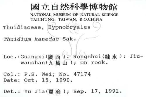 中文名:羽蘚(B00003255)學名:Thuidium kanedae Sak.(B00003255)