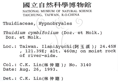 中文名:羽蘚(B00003564)學名:Thuidium cymbifolium (Doz. & Molk.) Doz. & Molk.(B00003564)