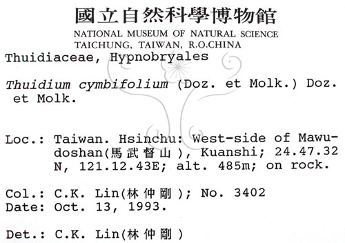 中文名:羽蘚(B00003780)學名:Thuidium cymbifolium (Doz. & Molk.) Doz. & Molk.(B00003780)