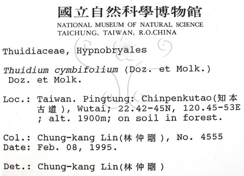 中文名:羽蘚(B00005685)學名:Thuidium cymbifolium (Doz. & Molk.) Doz. & Molk.(B00005685)