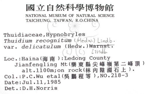 中文名:鉤葉羽蘚(B00008753)學名:Thuidium recognitum (Hedw.) Lindb. var. delicatulum(B00008753)