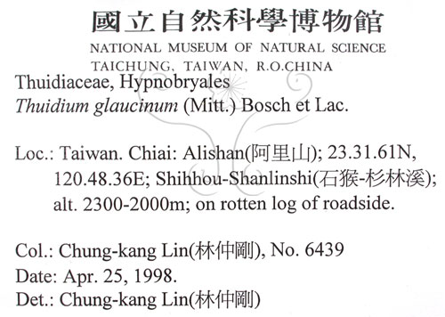 中文名:灰羽蘚(B00010585)學名:Thuidium glaucinum (Mitt.) Bosch. et Lac.(B00010585)