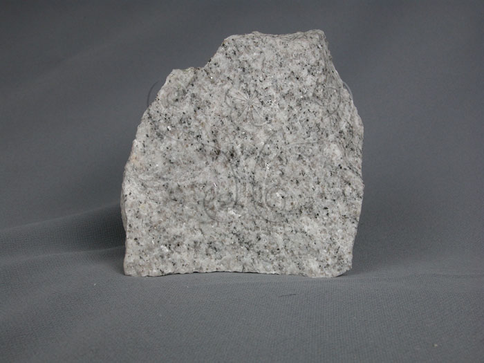 中文名:花岡岩(NMNS000853-P003104)英文名:Granite(NMNS000853-P003104)