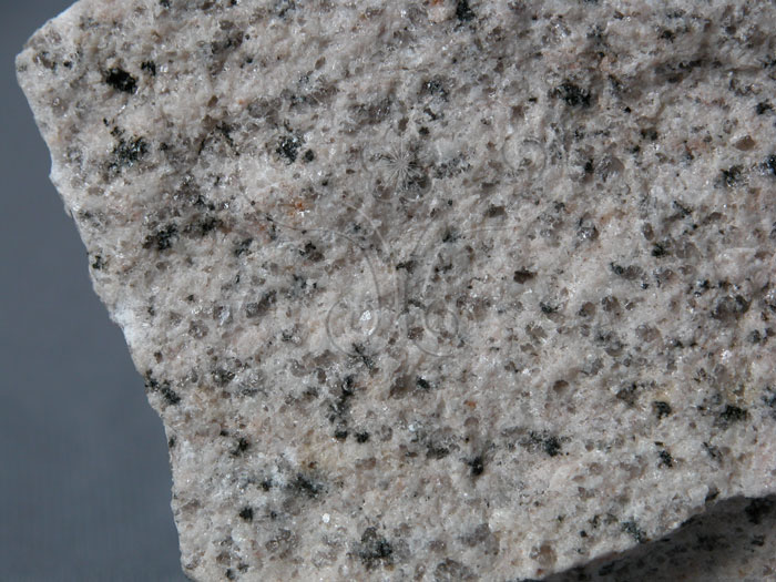 中文名:花岡岩╱片麻岩(NMNS002992-P006002)英文名:Granite/Gneiss(NMNS002992-P006002)