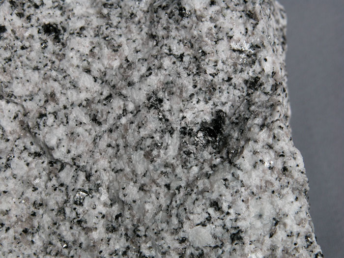 中文名:黑雲母花岡岩(NMNS002847-P004924)英文名:Biotite granite(NMNS002847-P004924)