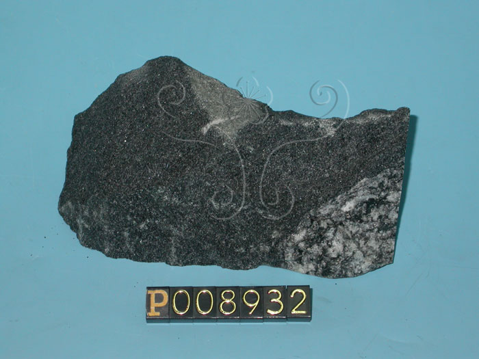 中文名:角閃岩(NMNS004376-P008932)英文名:Amphibolite(NMNS004376-P008932)