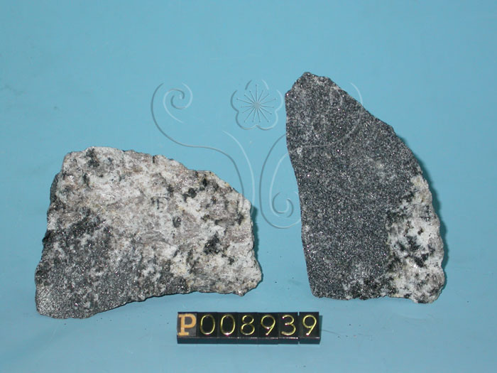 中文名:角閃岩(NMNS004376-P008939)英文名:Amphibolite(NMNS004376-P008939)