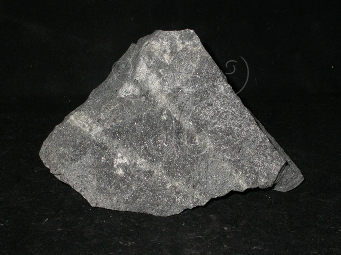 中文名:玢岩(NMNS004311-P008808)英文名:Porphyrite(NMNS004311-P008808)