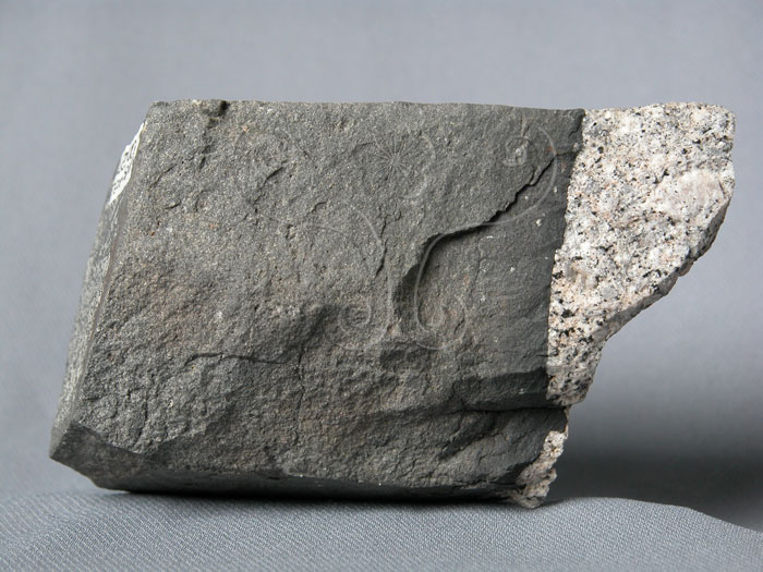 中文名:花岡岩/煌斑岩(NMNS003053-P006277)英文名:Granite/Lamprophyre(NMNS003053-P006277)