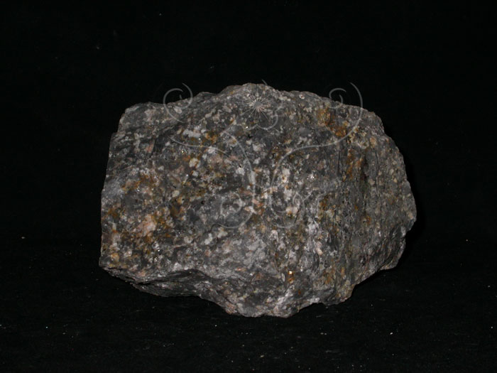 中文名:長英斑岩(NMNS004311-P008809)英文名:Felsic porphynite(NMNS004311-P008809)