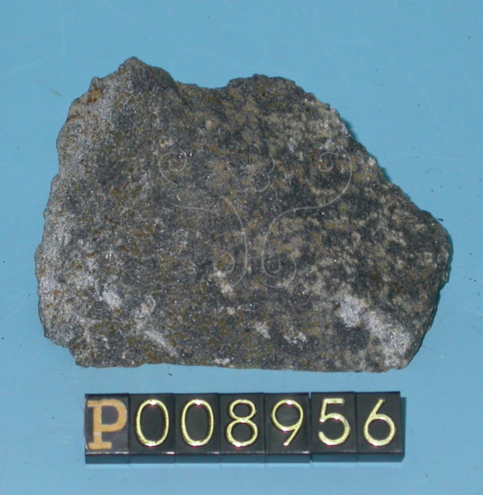 中文名:玄武岩(NMNS004376-P008956)英文名:Basalt(NMNS004376-P008956)