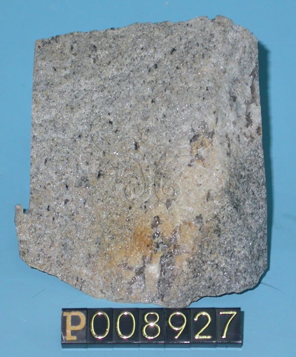 中文名:細晶岩(NMNS004376-P008927)英文名:Aplite(NMNS004376-P008927)