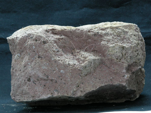 中文名:火山碎屑岩(NMNS000365-P001933)英文名:Pyroclastic rock(NMNS000365-P001933)