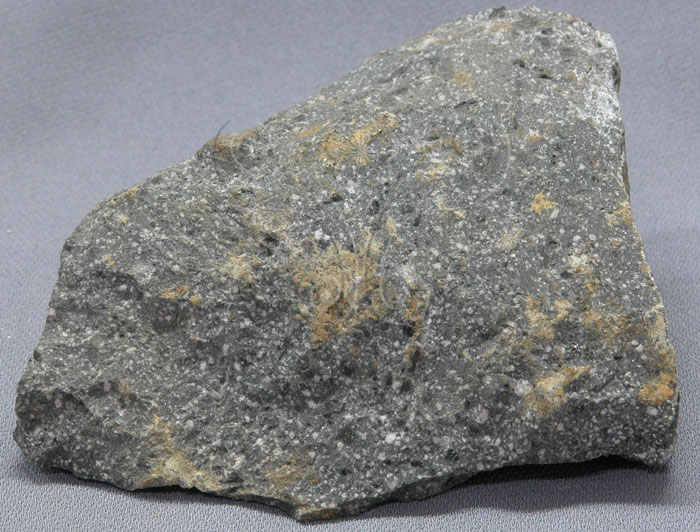 中文名:石英安山岩(NMNS000789-P002866)英文名:Dacite(NMNS000789-P002866)