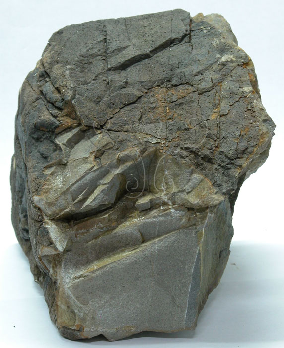 中文名:煌斑岩(NMNS001324-P003747)英文名:Lamprophyre(NMNS001324-P003747)