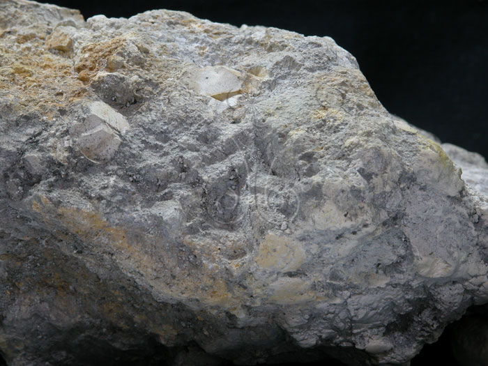 中文名:凝灰岩(NMNS001324-P003752)英文名:Tuff(NMNS001324-P003752)