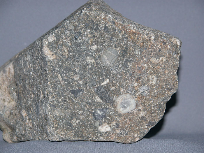中文名:火山碎屑岩(NMNS004696-P010712)英文名:Pyroclastic rock(NMNS004696-P010712)