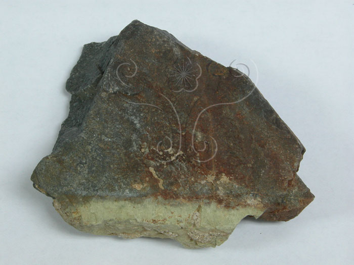 中文名:矽質岩(NMNS004733-P010914)英文名:Silicalite(NMNS004733-P010914)