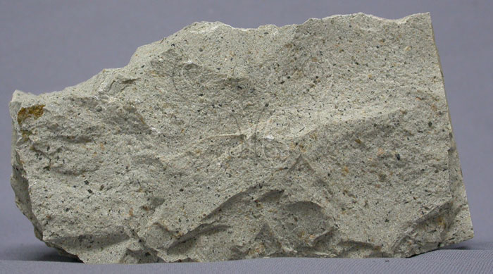 中文名:白崗岩(NMNS004696-P010764)英文名:Alaskite(NMNS004696-P010764)