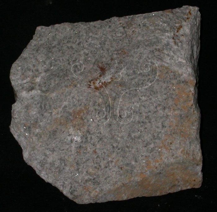 中文名:花崗岩(NMNS004314-P008826)英文名:Granite(NMNS004314-P008826)