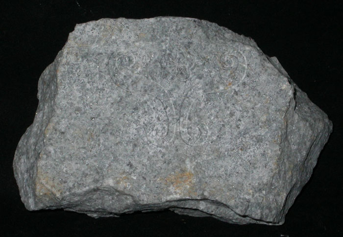 中文名:花崗岩(NMNS004314-P008827)英文名:Granite(NMNS004314-P008827)