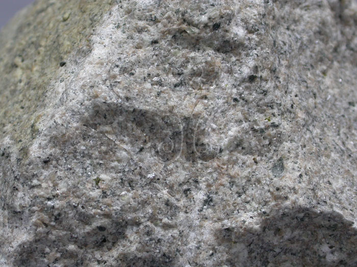 中文名:花崗岩(NMNS004733-P010913)英文名:Granite(NMNS004733-P010913)