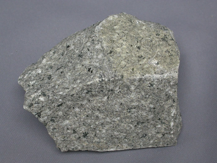 中文名:花崗岩(NMNS004733-P010918)英文名:Granite(NMNS004733-P010918)