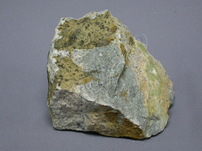 中文名:流紋岩(NMNS004733-P010921)英文名:Rhyolite(NMNS004733-P010921)