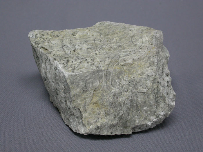 中文名:流紋岩(NMNS004733-P010923)英文名:Rhyolite(NMNS004733-P010923)