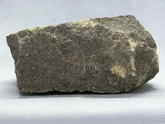 中文名:玄武岩(NMNS002788-P004860)英文名:Basalt(NMNS002788-P004860)