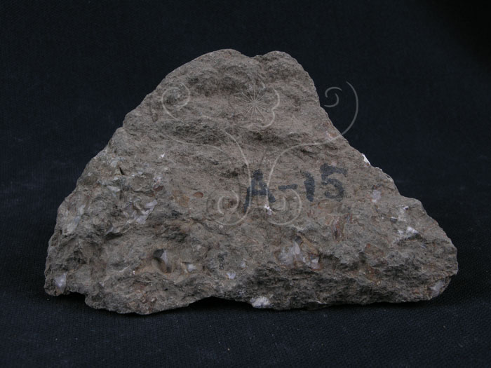 中文名:玄武岩(NMNS004261-P009321)英文名:Basalt(NMNS004261-P009321)