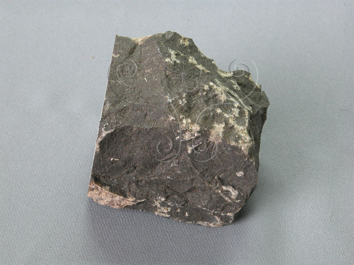 中文名:鹼性玄武岩(NMNS002892-P004969)英文名:Alkali basalt(NMNS002892-P004969)