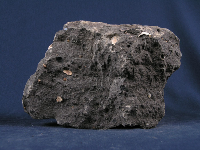中文名:矽質玄武岩(NMNS003406-P006654)英文名:Tholeiite(NMNS003406-P006654)