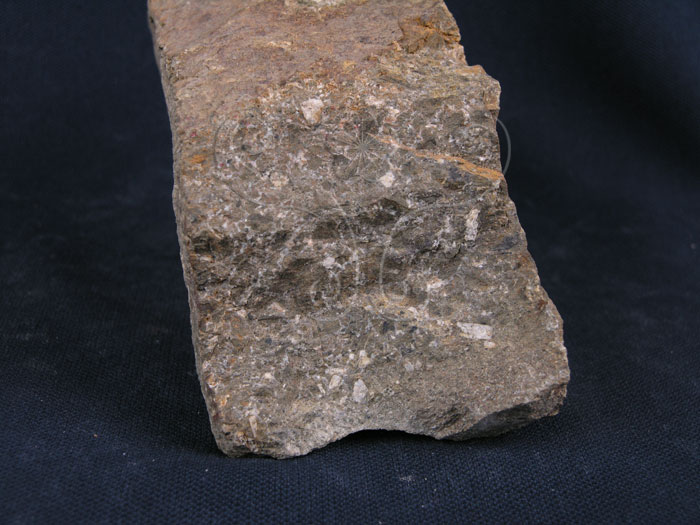 中文名:火山角礫岩(NMNS004262-P009348)英文名:Volcanic breccia(NMNS004262-P009348)