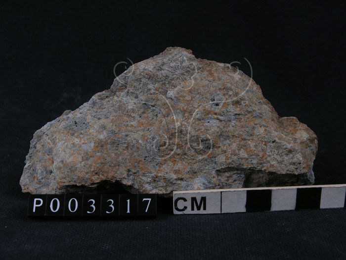 中文名:火山碎屑岩(NMNS000946-P003317)英文名:Pyroclastic rock(NMNS000946-P003317)