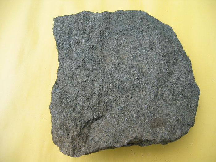 中文名:火山碎屑岩(NMNS004721-P010840)英文名:Pyroclastic rock(NMNS004721-P010840)