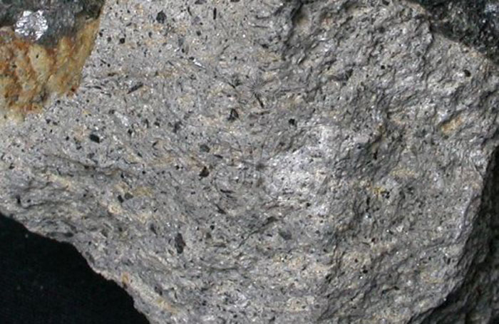 中文名:角閃安山岩(NMNS001325-P003775)英文名:Hornblende andesite(NMNS001325-P003775)