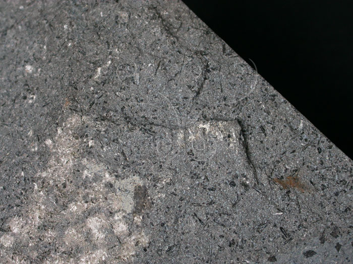 中文名:角閃安山岩(NMNS001325-P003782)英文名:Hornblende andesite(NMNS001325-P003782)