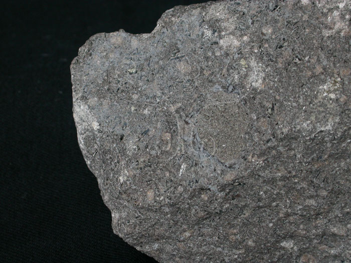 中文名:角閃安山岩(NMNS001325-P003783)英文名:Hornblende andesite(NMNS001325-P003783)