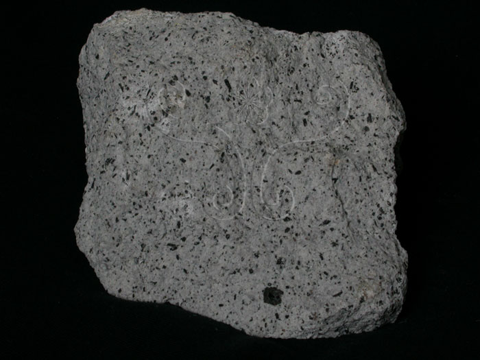 中文名:角閃安山岩(NMNS001325-P003784)英文名:Hornblende andesite(NMNS001325-P003784)