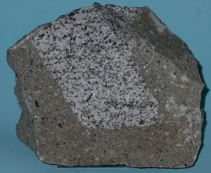 中文名:安山岩(NMNS004325-P008833)英文名:Andesite(NMNS004325-P008833)