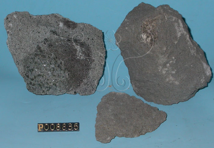 中文名:安山岩(NMNS004325-P008835)英文名:Andesite(NMNS004325-P008835)