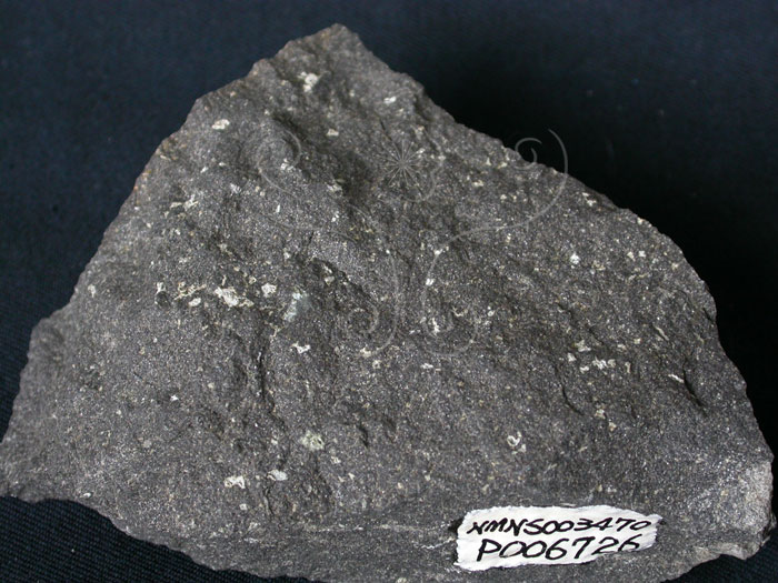 中文名:玄武岩(NMNS003470-P006726)英文名:Basalt(NMNS003470-P006726)