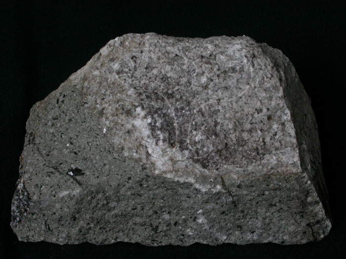 中文名:玄武岩(NMNS003470-P006731)英文名:Basalt(NMNS003470-P006731)