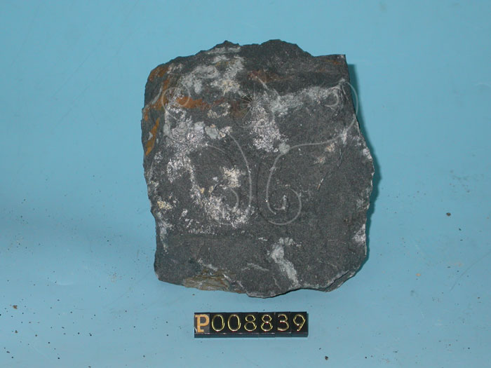 中文名:玄武岩(NMNS004325-P008839)英文名:Basalt(NMNS004325-P008839)