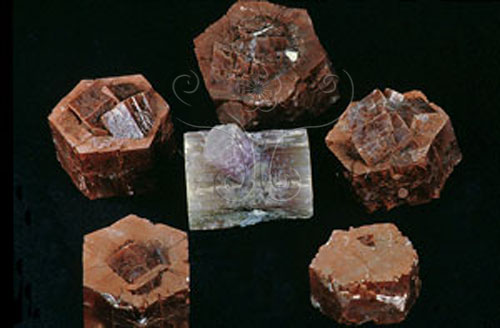 中文名:霰石(NMNS000393-P002021)英文名:Aragonite(NMNS000393-P002021)