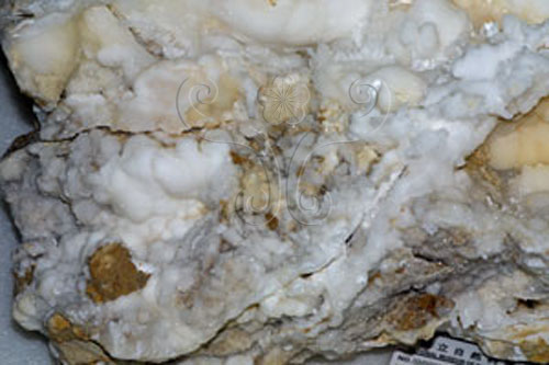 中文名:霰石(NMNS003494-P006809)英文名:Aragonite(NMNS003494-P006809)