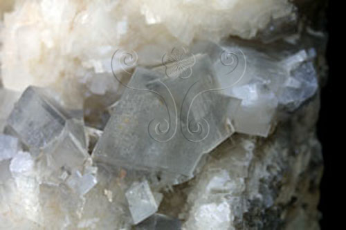 中文名:白雲石(NMNS003121-P006340)英文名:Dolomite(NMNS003121-P006340)
