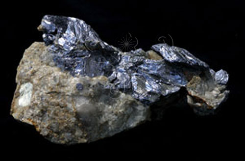 中文名:輝鉬礦(NMNS000273-P001775)英文名:Molybdenite(NMNS000273-P001775)